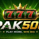 pak500game